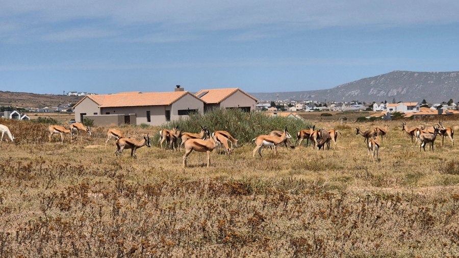 0 Bedroom Property for Sale in Langebaan Country Estate Western Cape